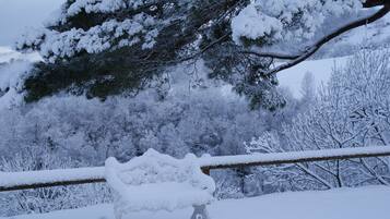 Paisatge nevós amb arbres i una tanca de fusta coberta de neu.