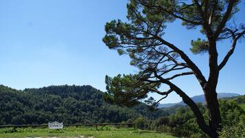 A bench in a natural setting with a forested hill in the background.