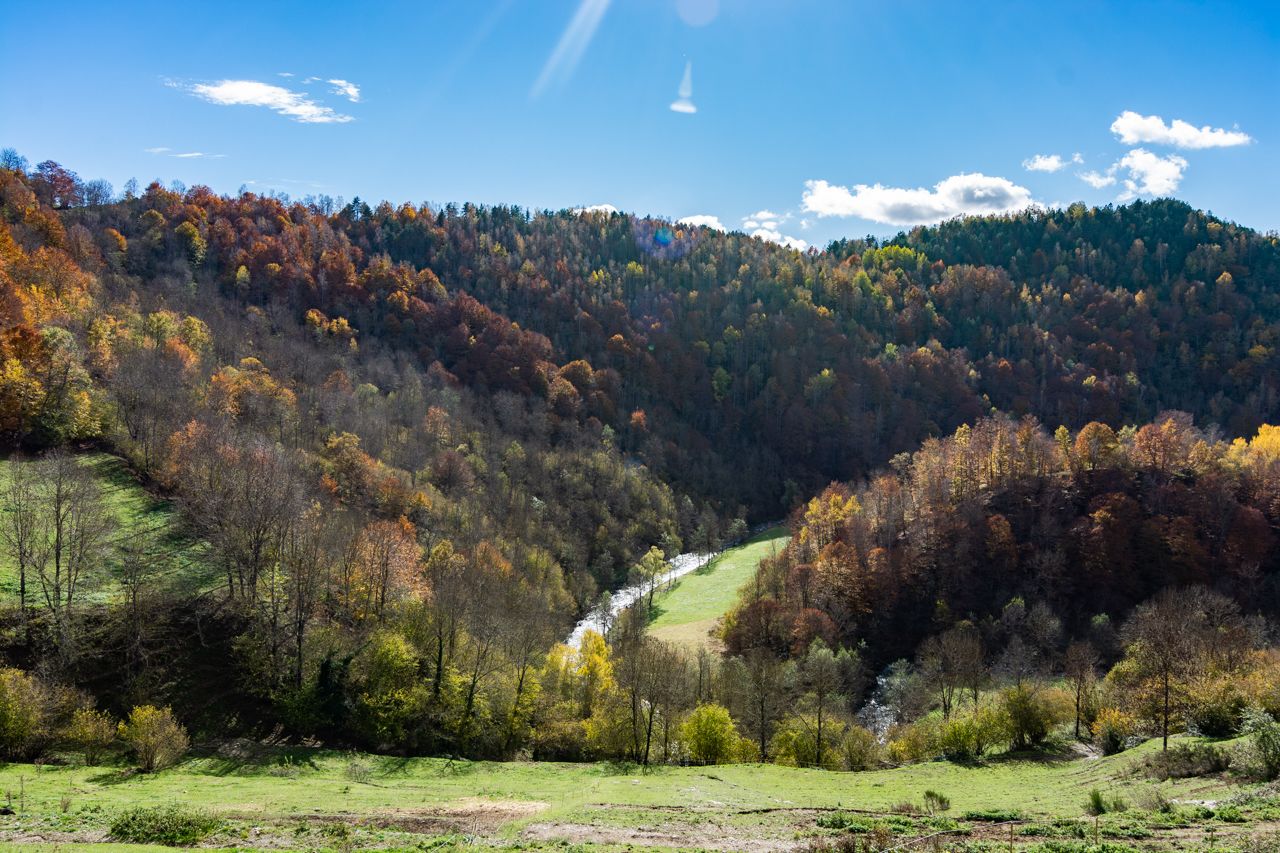 A valley with a river, surrounded by autumn-colored trees and a clear sky.