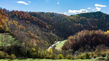 A valley with a river, surrounded by autumn-colored trees and a clear sky.