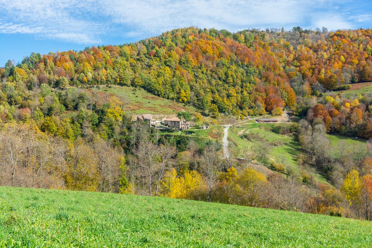 Paesaggio rurale con una casa su una collina, circondata da alberi dai colori autunnali e un cielo sereno.