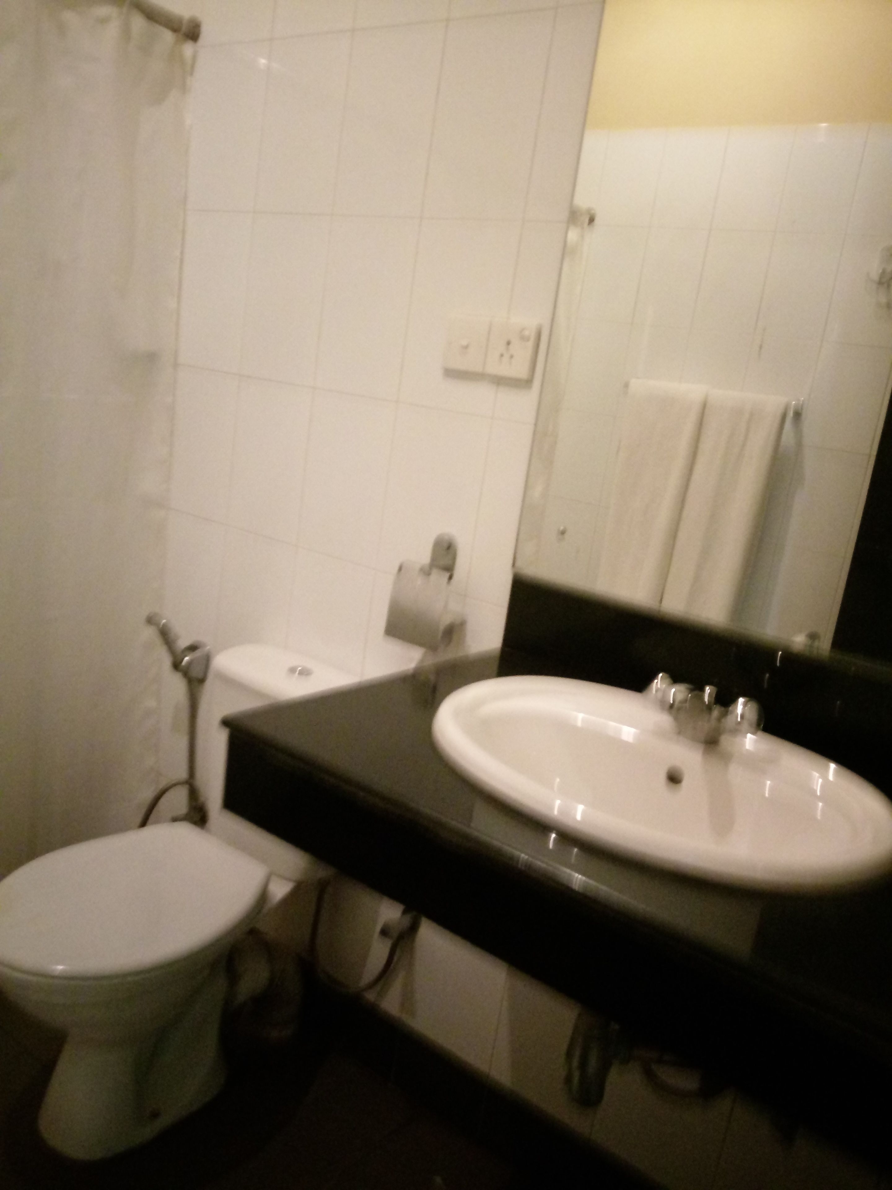 A bathroom with a toilet, sink, and mirror.