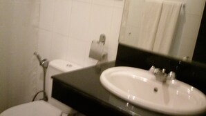 A bathroom with a toilet, sink, and mirror.
