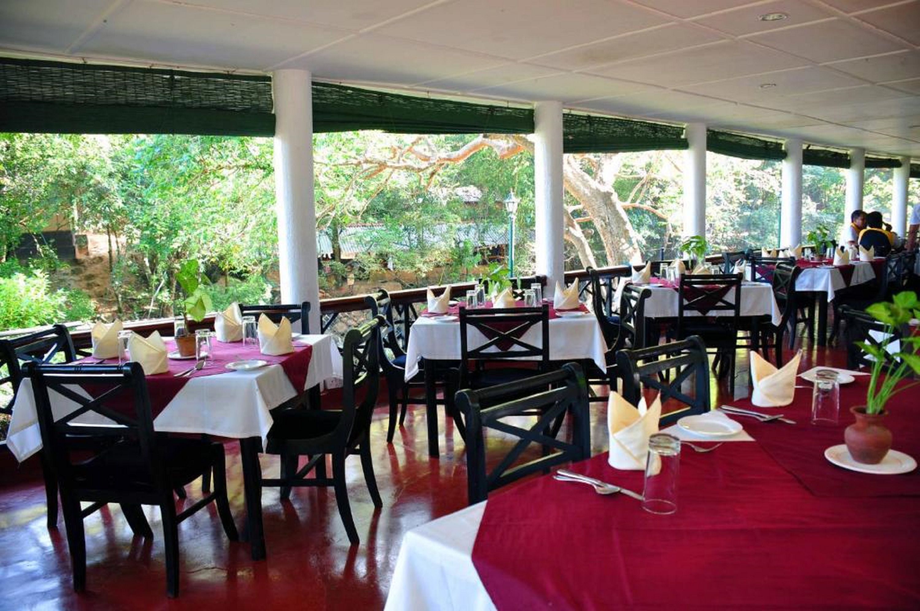 Un restaurante con mesas preparadas para comer, rodeado de vegetación y árboles.
