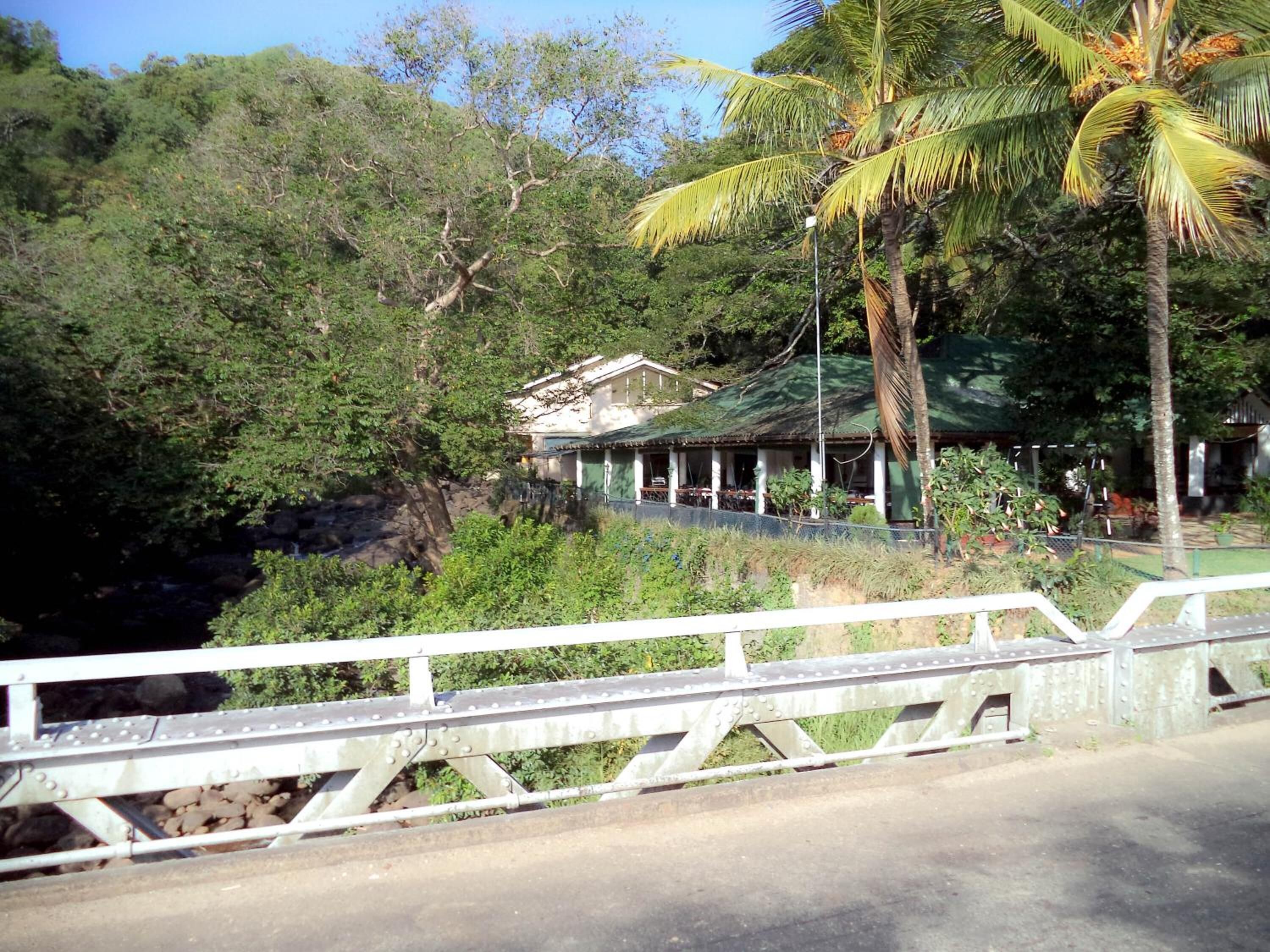 Un edificio rústico con techo verde, rodeado de abundante vegetación y palmeras.