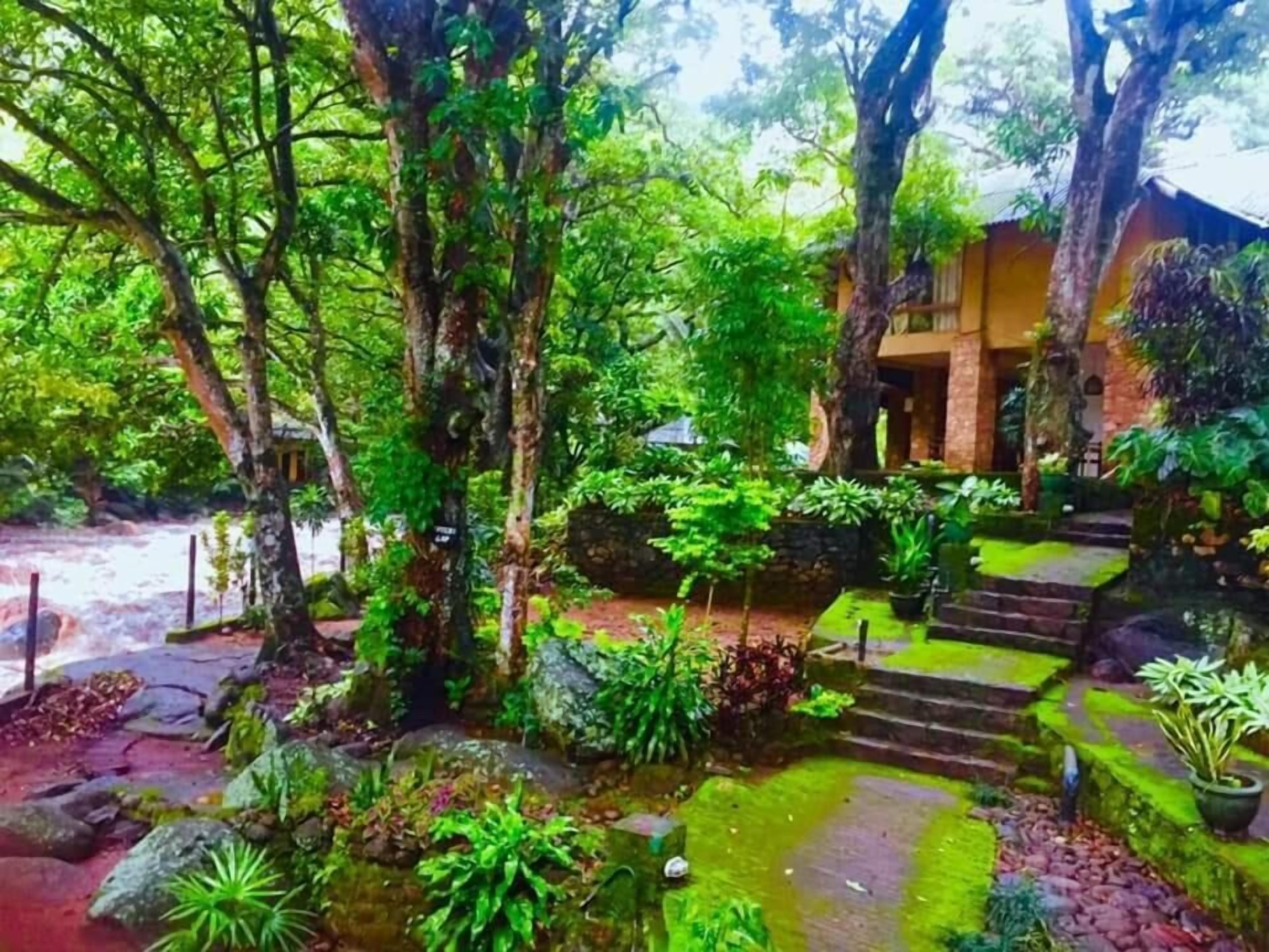 Un jardín exuberante con una escalera de piedra que conduce a un edificio.