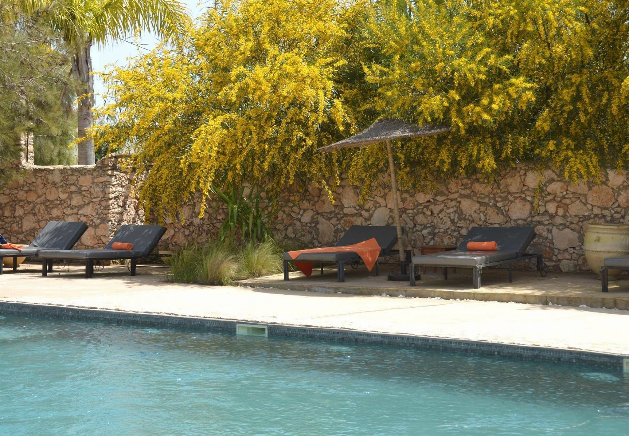 Außenpool, Sonnenschirme, Liegestühle