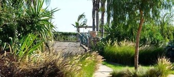 Koheilan Oriental Lodge Farm