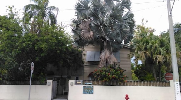 A building with a gated entrance, palm trees, and a fire hydrant.