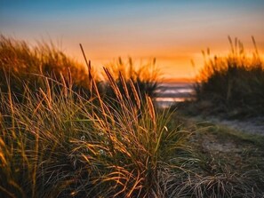 A pathway through tall grass leading to a distant view. - Kleines Strandhotel (Timmendorfer Strand)