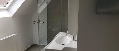 A modern bathroom with a skylight, a glass shower enclosure, and a white sink.