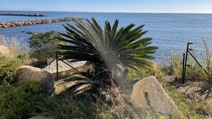 Un paysage côtier avec un palmier, des rochers et un phare au loin.
