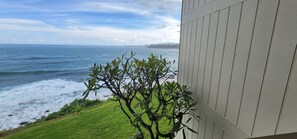 Property grounds - Just finished complete renovation in March, 2025 (Kapaa)