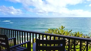 Property grounds - Just finished complete renovation in March, 2025 (Kapaa)