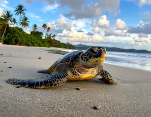 A sea turtle on a sandy beach with palm trees and ocean in the background.
