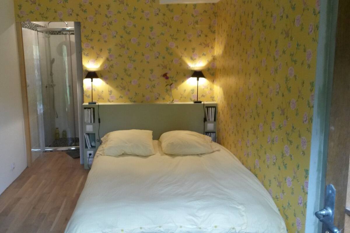 Un dormitorio con cama, dos lámparas de noche, ducha y estantería.