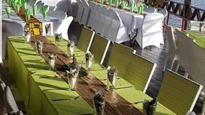 A long table set for a formal event with white tablecloths and green runners, decorated with small plants and candles. - Ocean's Edge Lodge Restaurant & Bar C (Roseau)