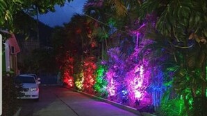 A residential street at night with colorful lights along the foliage. - Ocean's Edge Lodge Restaurant & Bar C (Roseau)