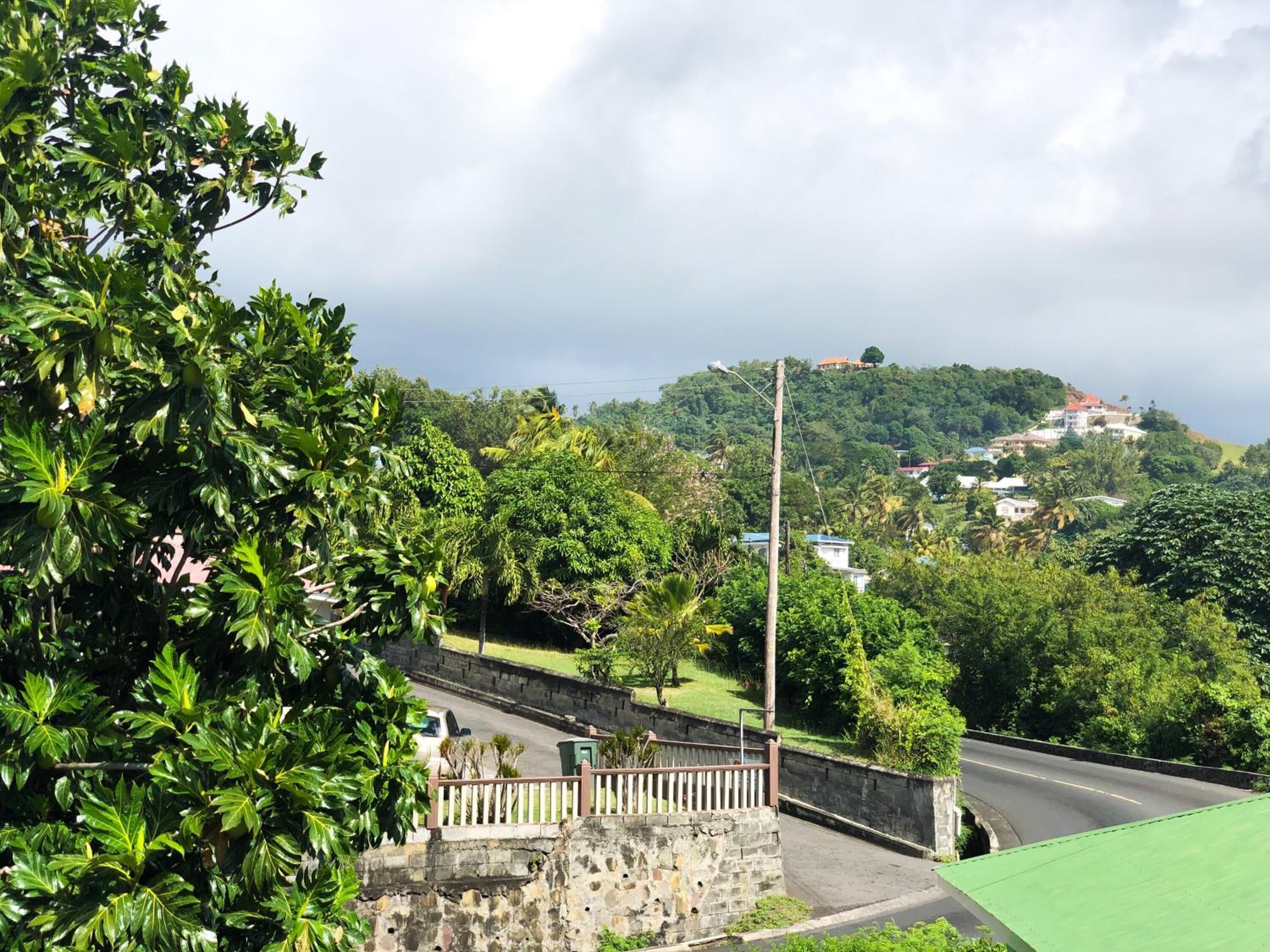 A lush green landscape with a stone wall and a paved road leading to a hill with houses.