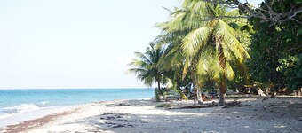 King's Landing - Forest Retreat Port Royal National Park (Camp Bay) 