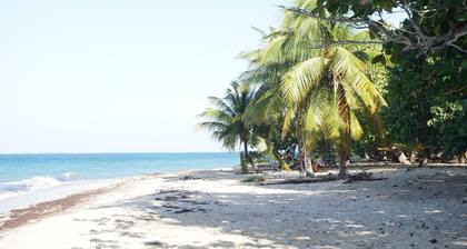 King's Landing - Forest Retreat Parc national de Port Royal (Camp Bay)