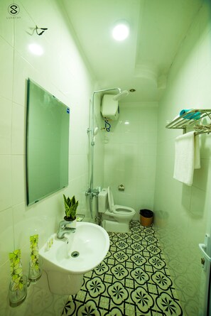 Shower, hair dryer, bidet, towels