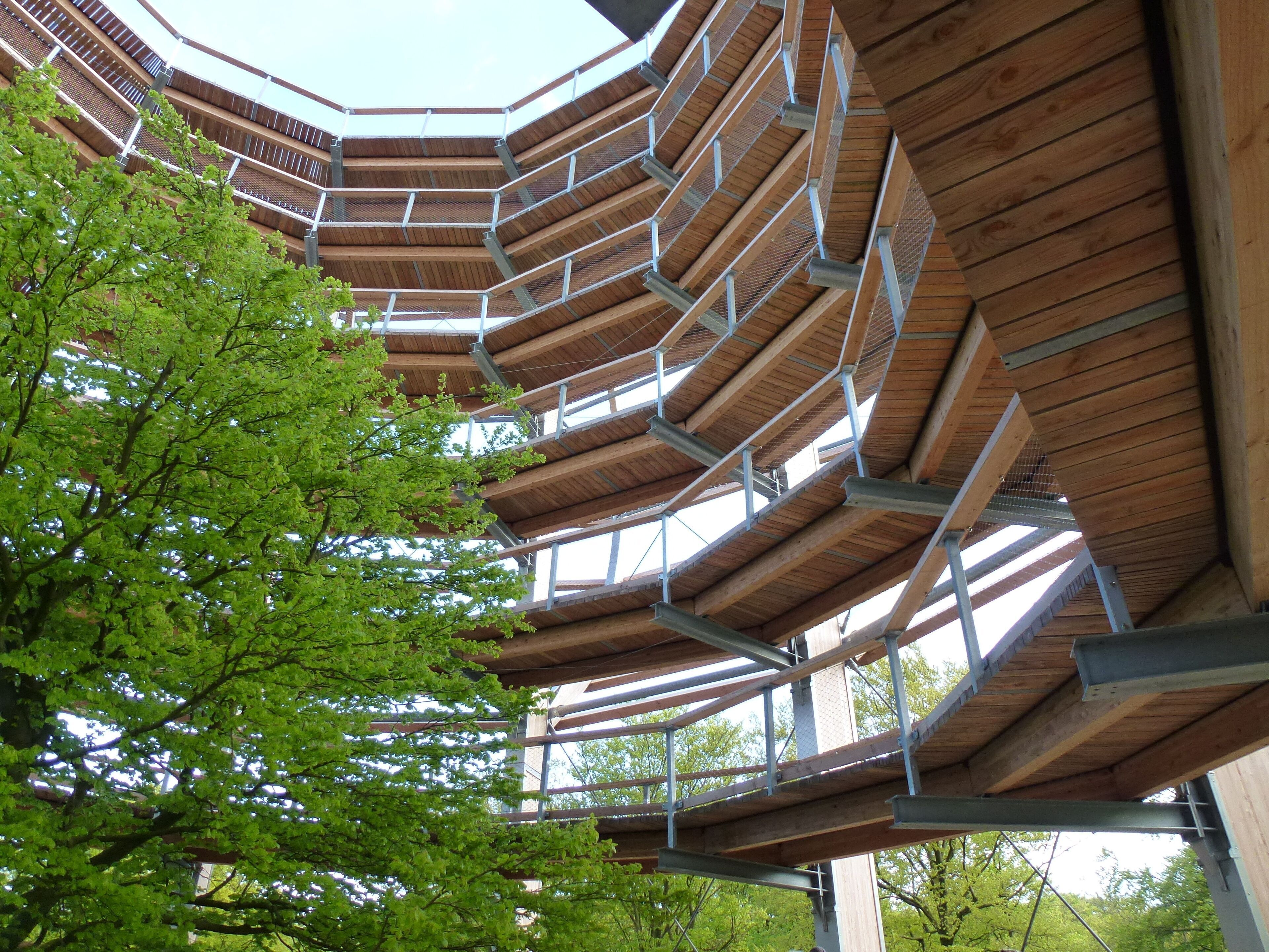 A modern architectural structure with a wooden slatted roof and metal framework.