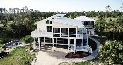 Perro salado hacia arriba