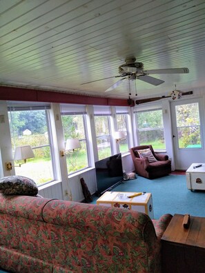 TV, DVD player, books, music library