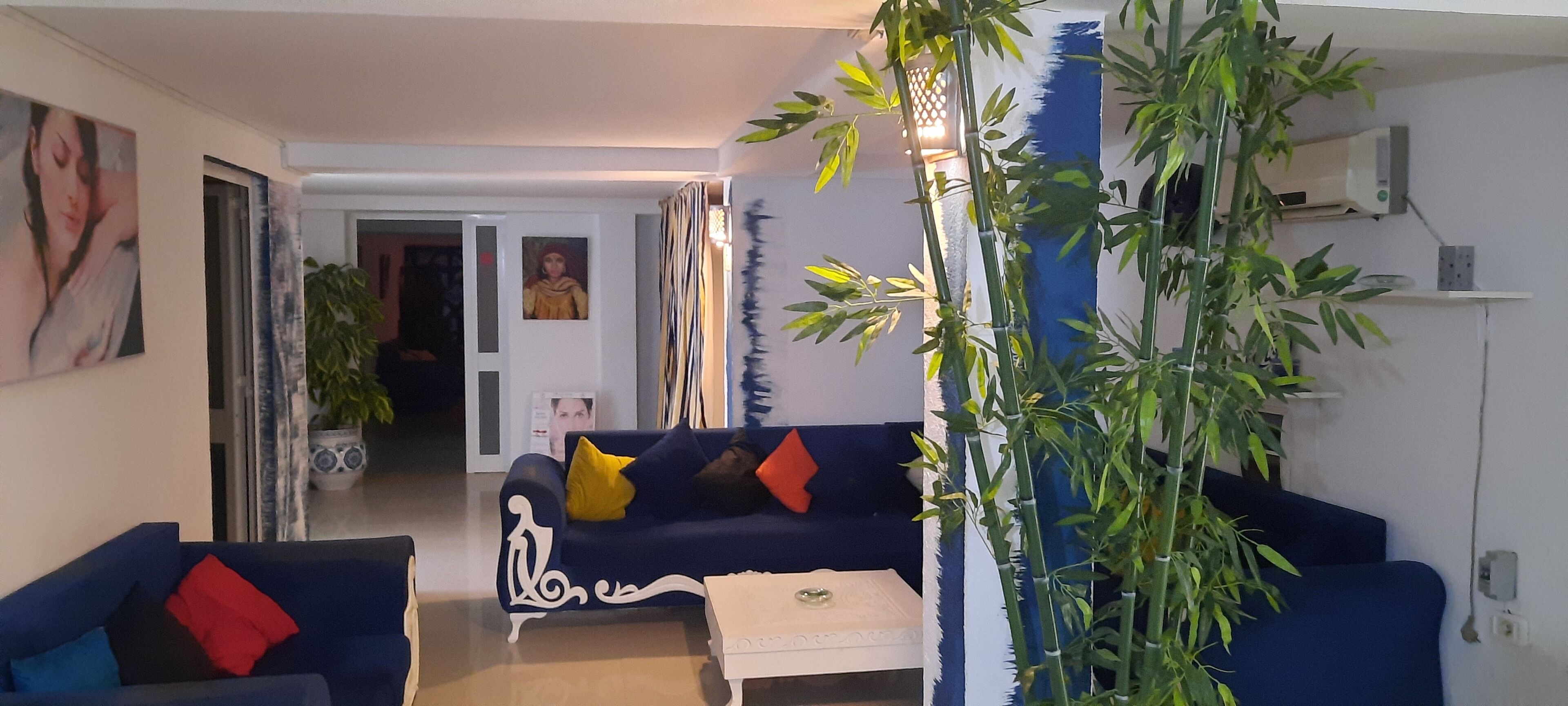 Een woonkamer met een donkerblauwe bank, een witte bijzettafel en een grote potplant.