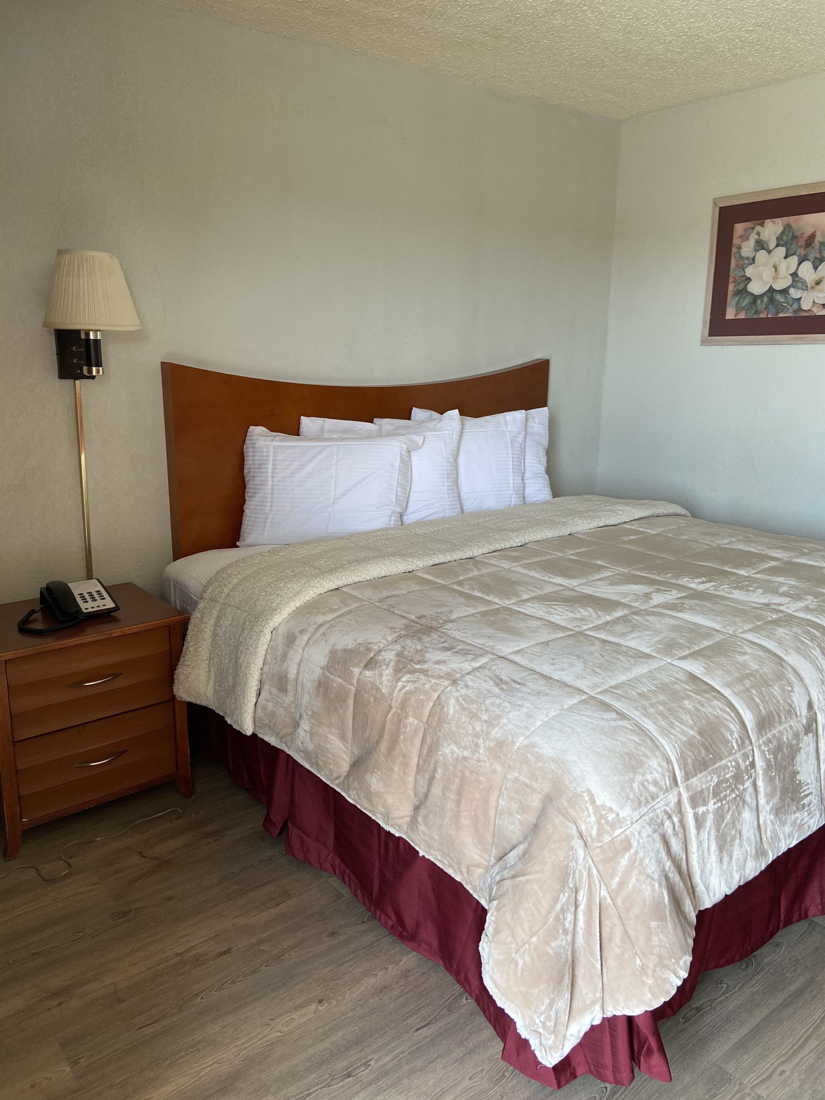 single room, 1 king bed, non smoking | desk, blackout curtains, iron/ironing board, free wifi