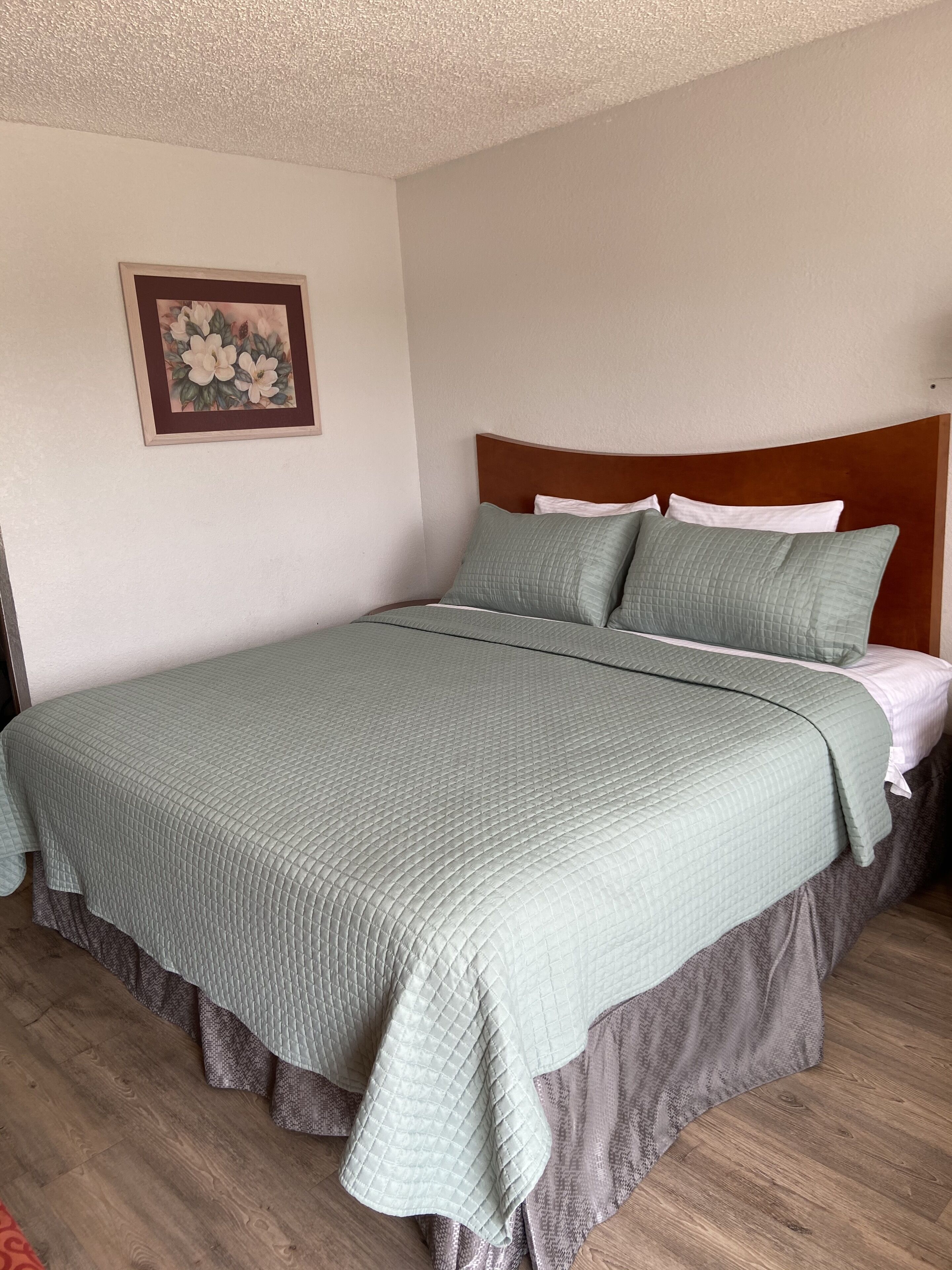 single room, 1 king bed, non smoking | desk, blackout curtains, iron/ironing board, free wifi
