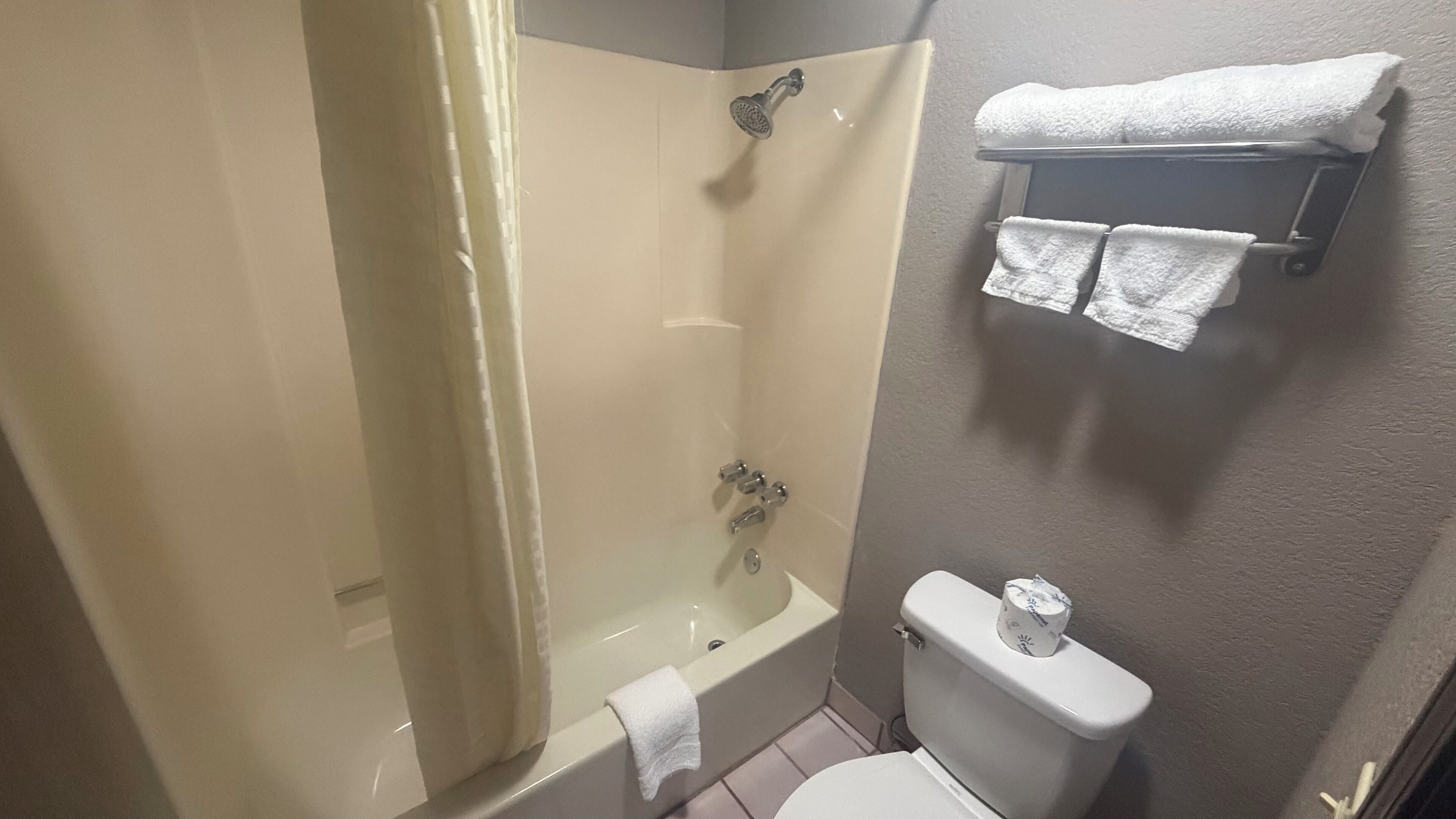 Een badkamer met douche, toilet en handdoekrek.