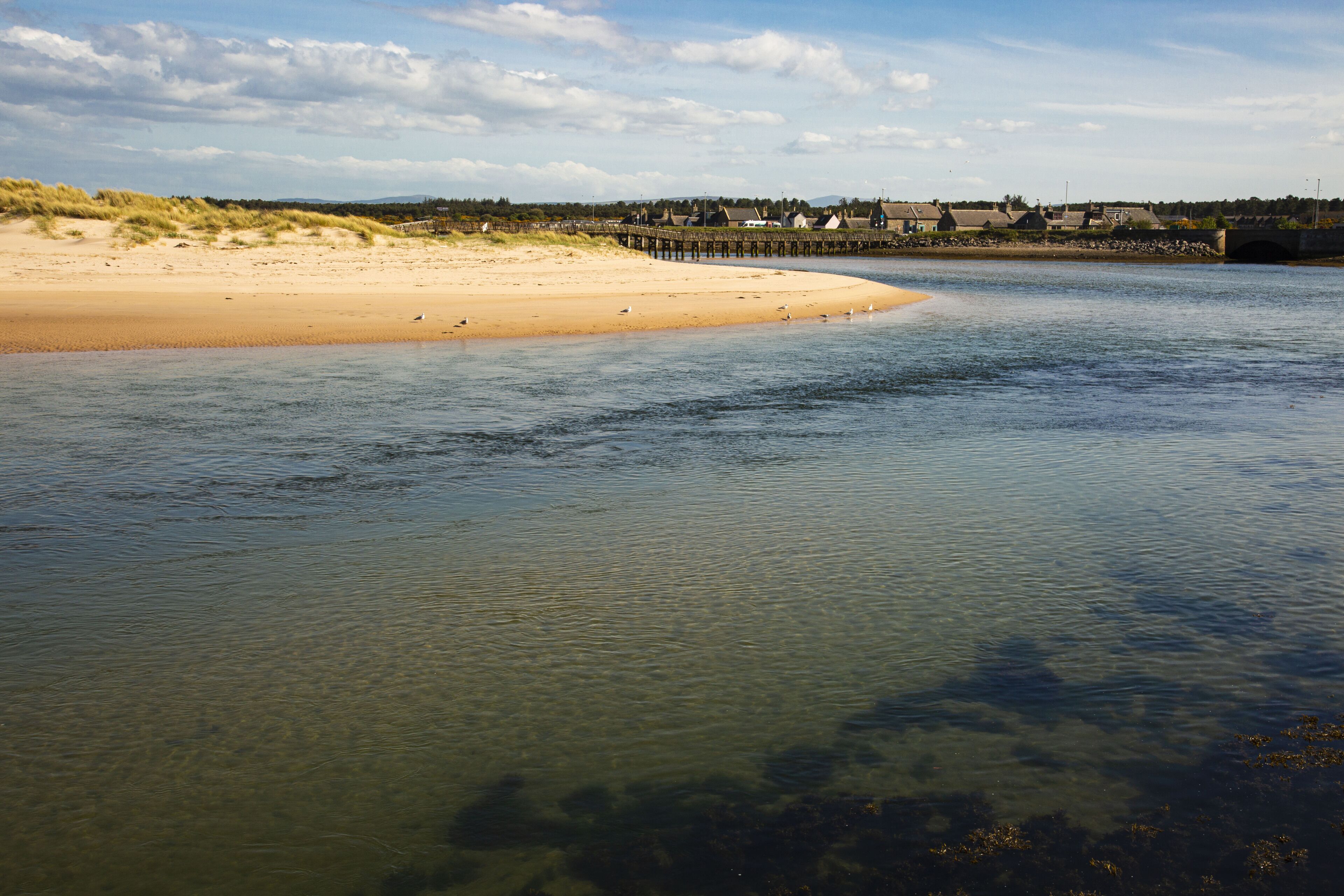 beach nearby, white sand