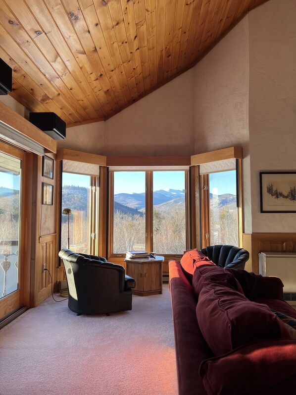 Smart TV, videojuegos, reproductor de DVD y libros 