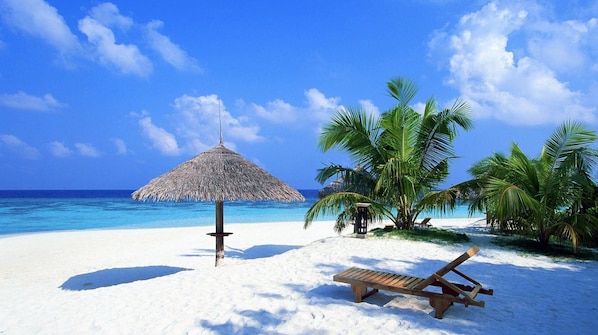 Plage, chaises longues, serviettes de plage