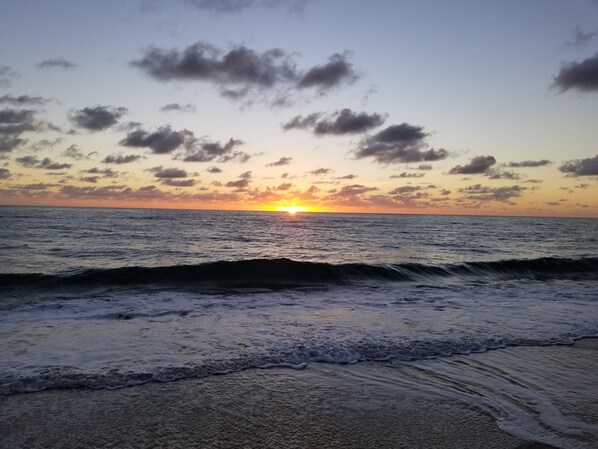 Sun-loungers, beach towels