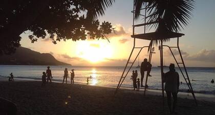 Relaxing in style with Papayaguesthouse