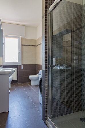 Shower, hair dryer, bidet, towels