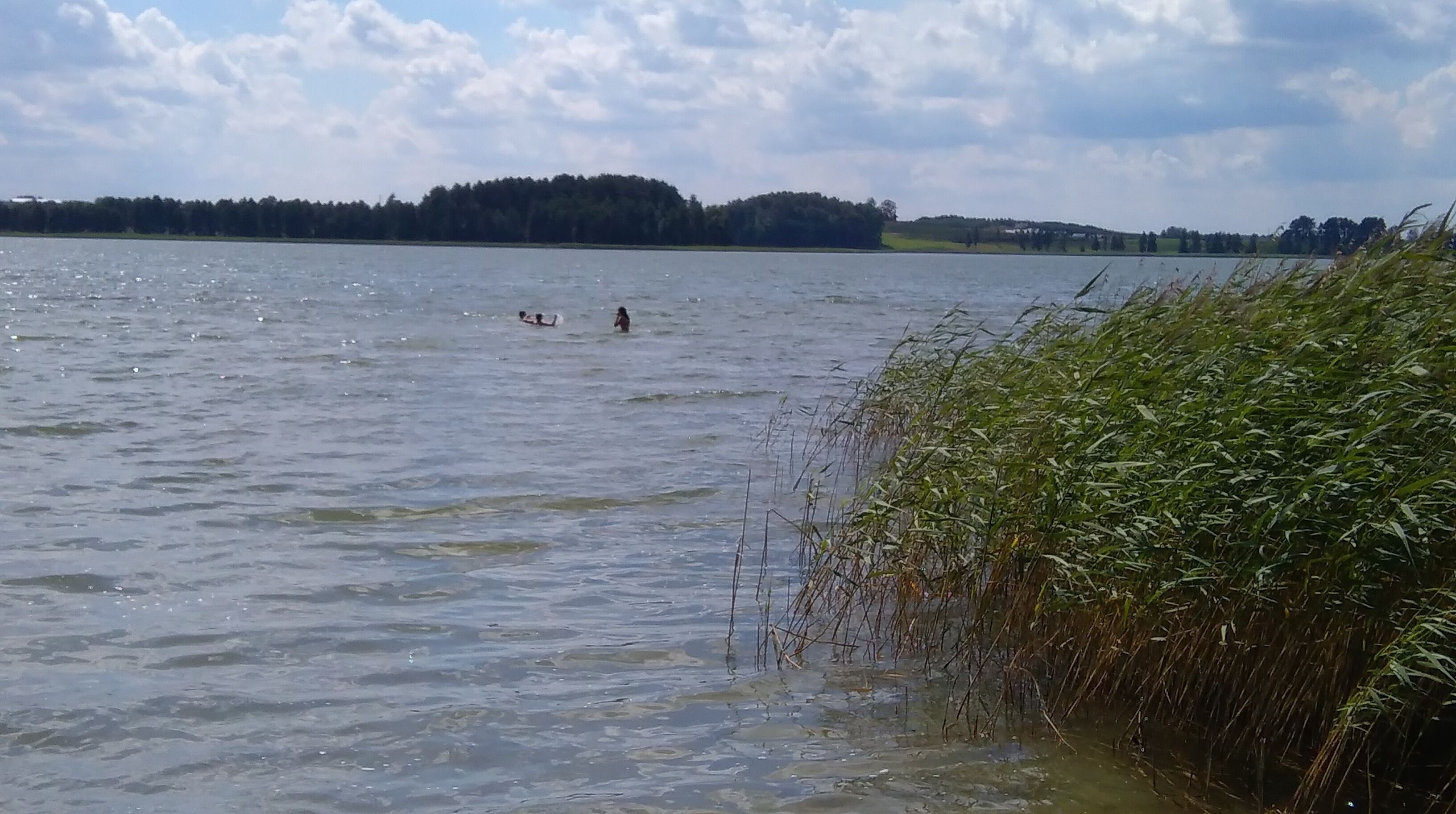 A calm lake with a person swimming in the distance.