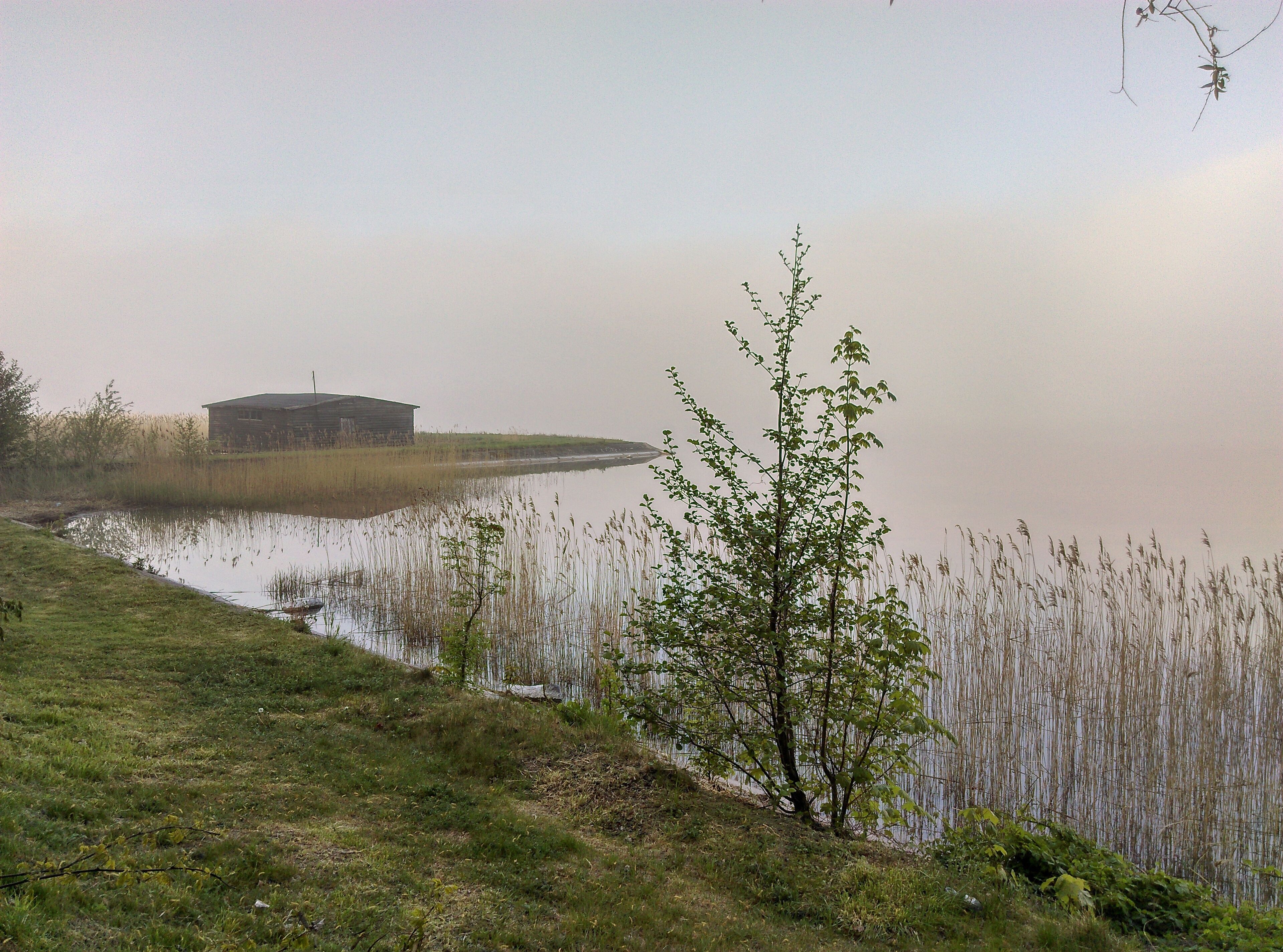 Un chalet rustique au bord d’un lac paisible, entouré d’herbes hautes et sous un ciel dégagé.