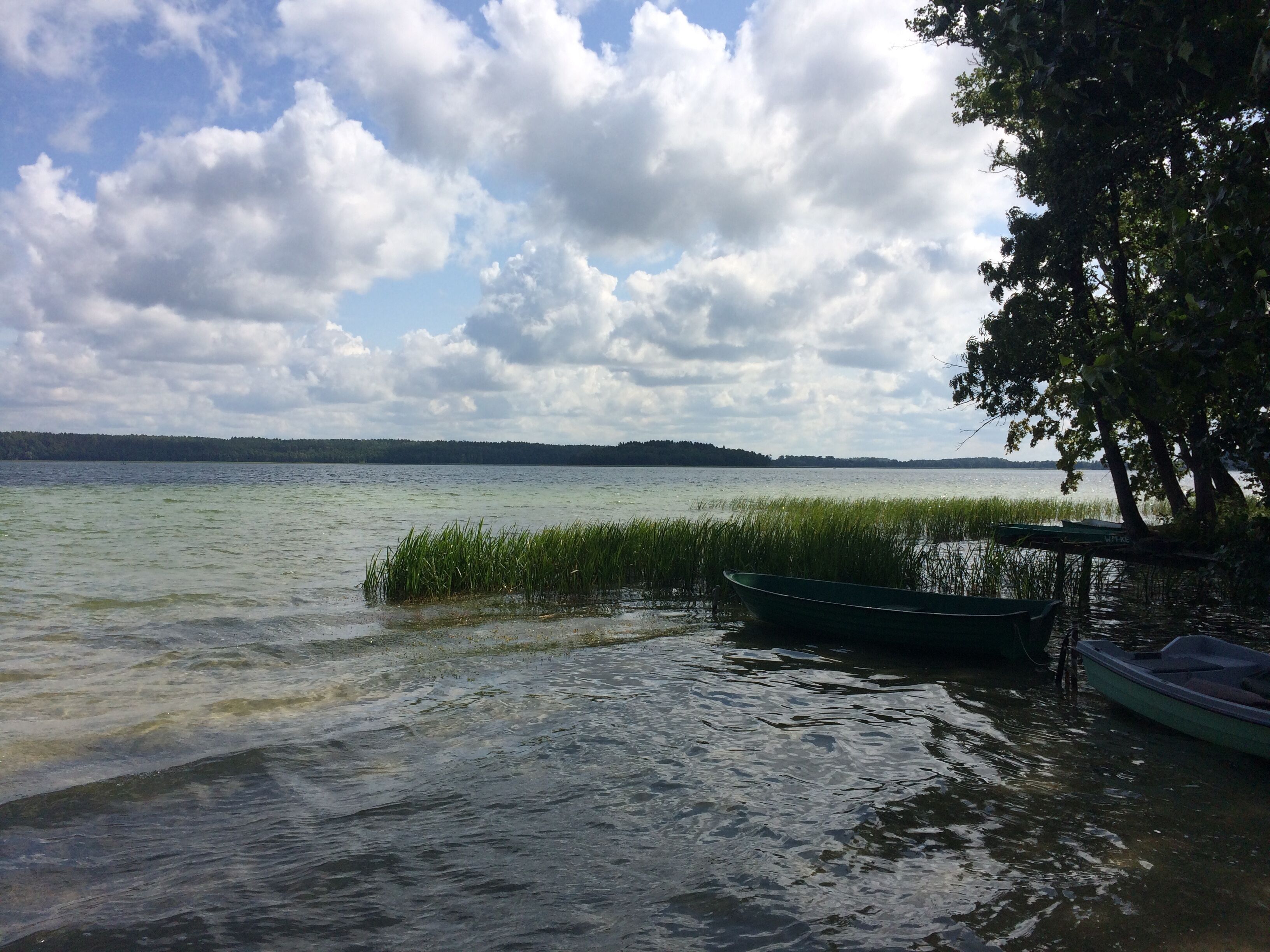 Plage à proximité, chaises longues