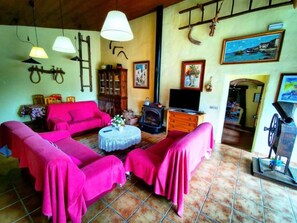 A living room with a fireplace, a television, and a dining area with a table and chairs.
