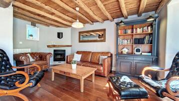 Télévision, cheminée, lecteur de DVD, livres