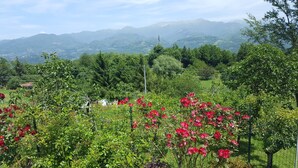 A garden with red flowers and a view of distant mountains. - 3 bedroom house, private pool, gym, mature garden, walk to pizzeria, great views (Cardoso)