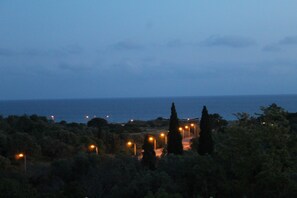 A coastal landscape with a road leading to the sea, surrounded by dense vegetation and tall cypress trees. - Seaview apartment Alvor (Alvor)