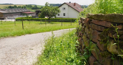 KALLES HOMELAND vacation, horse riding and country living in Kraichgau
