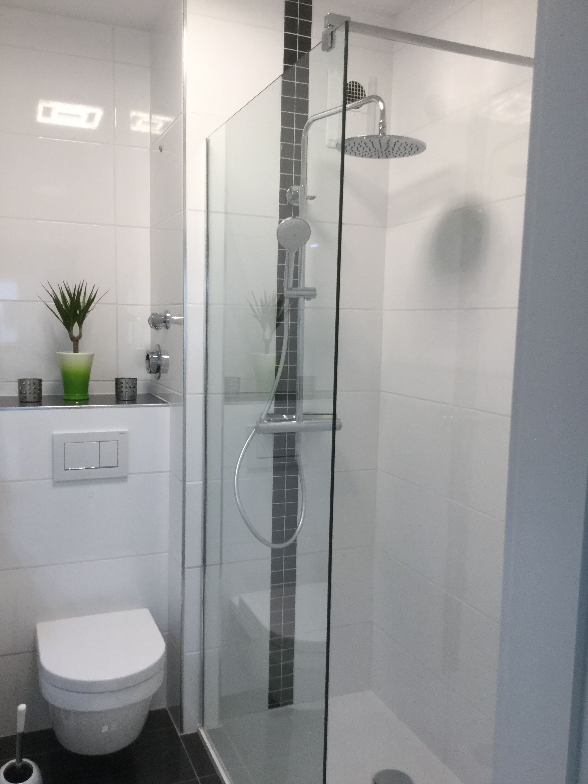 A modern bathroom with a glass-enclosed shower, a toilet, and a small green plant on the sink.