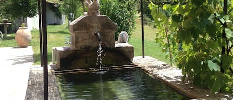 سبا