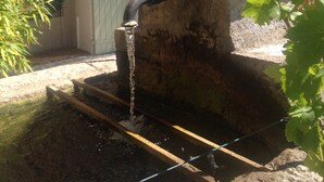 A water feature with a curved spout, surrounded by greenery and a stone structure. - Castellane the Verdon Gorges Grand new studio  (Castellane)